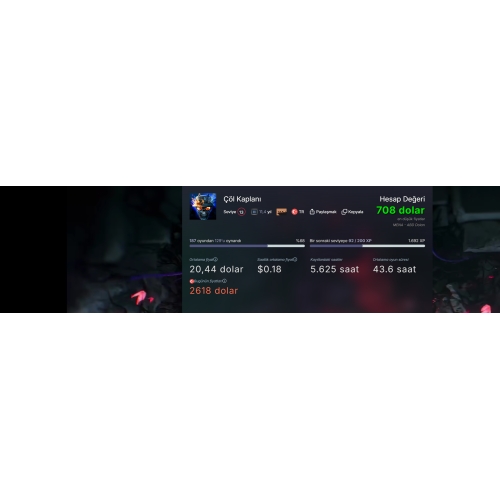  Özel Kişisel Steam hesabı